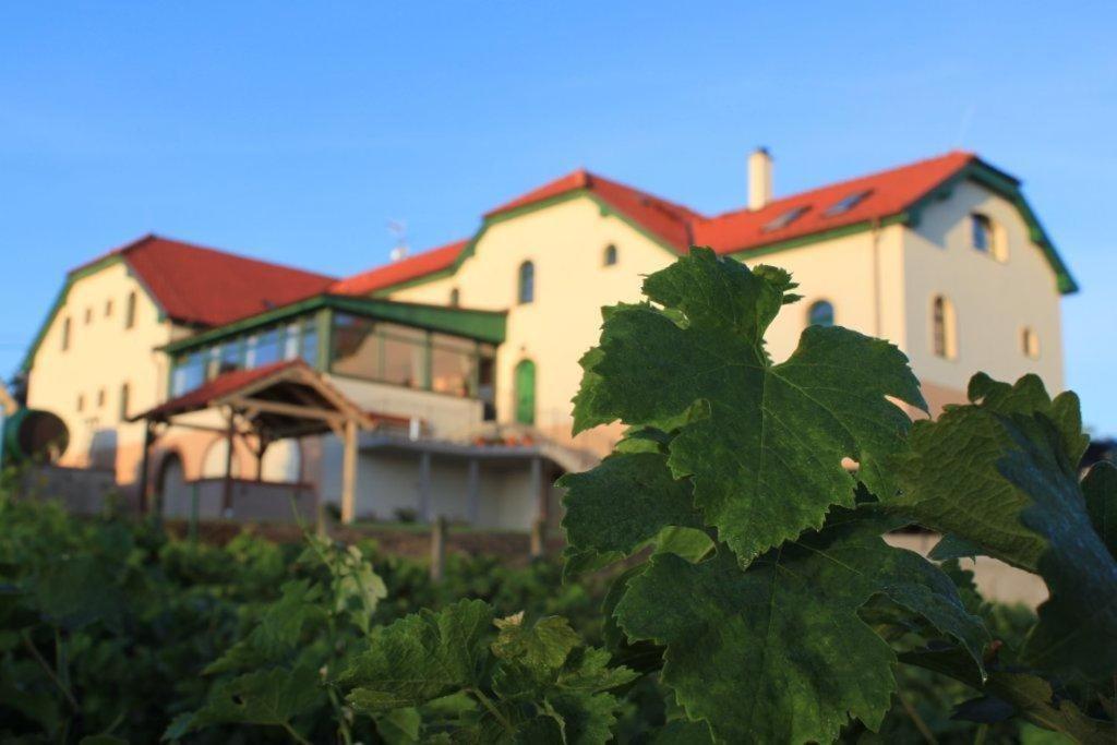 Hotel Vinohrad Milotice 외부 사진