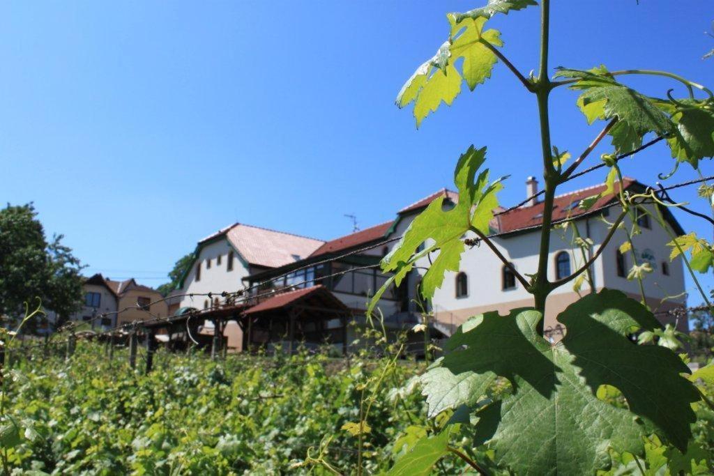 Hotel Vinohrad Milotice 외부 사진